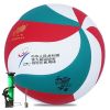 Ballon de volley - Ref 2010702