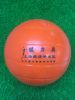 Ballon de volley - Ref 2010716