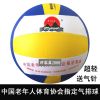 Ballon de volley - Ref 2010809