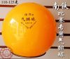 Ballon de volley - Ref 2010832