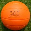 Ballon de volley - Ref 2010835