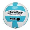 Ballon de volley - Ref 2010864