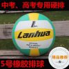 Ballon de volley - Ref 2010884