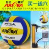 Ballon de volley - Ref 2010901