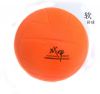 Ballon de volley - Ref 2010921
