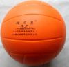 Ballon de volley - Ref 2010942