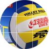 Ballon de volley - Ref 2010978