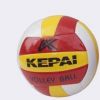 Ballon de volley - Ref 2011067