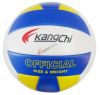 Ballon de volley - Ref 2011087