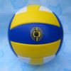 Ballon de volley - Ref 2011123