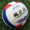 Ballon de volley - Ref 2011140