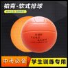 Ballon de volley - Ref 2011228