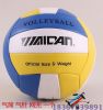 Ballon de volley - Ref 2011264
