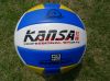 Ballon de volley - Ref 2011275