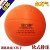 Ballon de volley - Ref 2011326