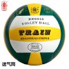 Ballon de volley - Ref 2011337