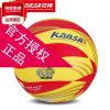 Ballon de volley - Ref 2011371