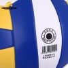 Ballon de volley - Ref 2011713