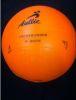 Ballon de volley - Ref 2011724