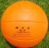 Ballon de volley - Ref 2011877