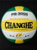 Ballon de volley - Ref 2011890