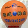 Ballon de volley - Ref 2011909