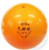 Ballon de volley - Ref 2012000