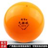 Ballon de volley - Ref 2012011