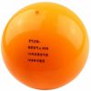 Ballon de volley - Ref 2012039