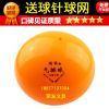 Ballon de volley - Ref 2012043