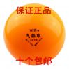 Ballon de volley - Ref 2012045