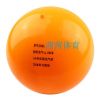 Ballon de volley - Ref 2012048