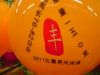 Ballon de volley - Ref 2012065