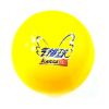 Ballon de volley - Ref 2012071