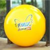 Ballon de volley - Ref 2012072
