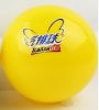 Ballon de volley - Ref 2012089