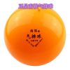 Ballon de volley - Ref 2012096