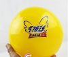 Ballon de volley - Ref 2012110