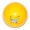 Ballon de volley - Ref 2012115