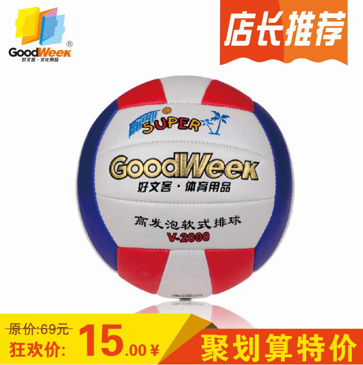 Ballon de volley - Ref 2012120