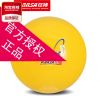 Ballon de volley - Ref 2012144