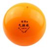 Ballon de volley - Ref 2012153