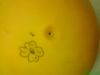 Ballon de volley - Ref 2012181