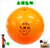 Ballon de volley - Ref 2012197