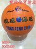Ballon de volley - Ref 2012199