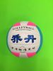 Ballon de volley - Ref 2012202