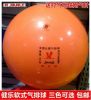 Ballon de volley - Ref 2012208