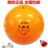 Ballon de volley - Ref 2012209