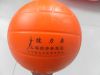 Ballon de volley - Ref 2012210