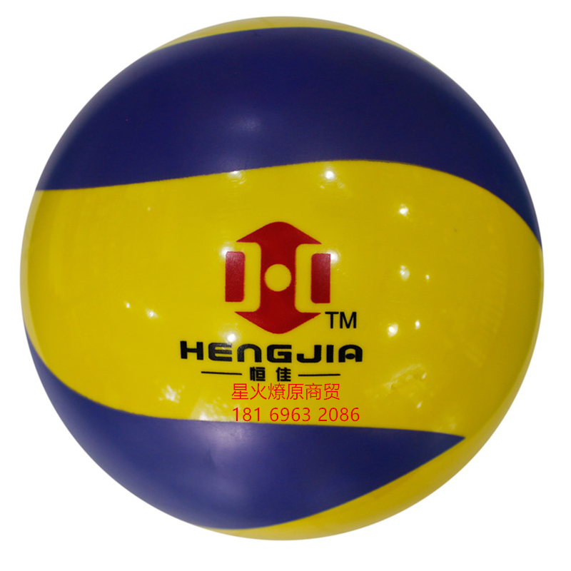 Ballon de volley - Ref 2012230